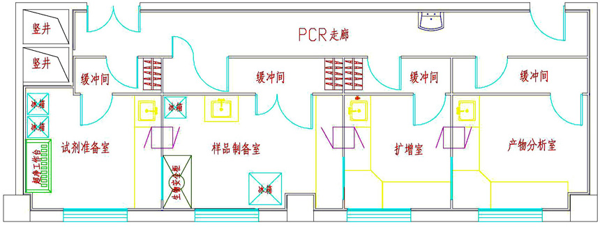 pcr实验室设计图
